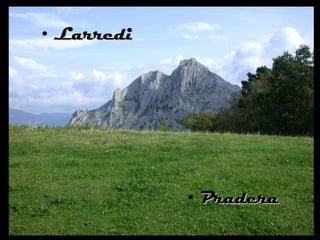 Larredi Pradera 