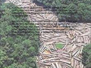 Além desses impactos locais e regionais da devastação das florestas, há também um perigoso impacto em escala global. A queima das florestas, seja em incêndios criminosos, seja na forma de lenha ou carvão vegetal para vários fins (aliás, a queima de carvão vegetal vem aumentando muito na Amazônia brasileira, como resultado da disseminação de usinas de produção de ferro gusa, principalmente no Pará), tem colaborado para aumentar para aumentar a concentração de gás carbônico na atmosfera. É importante lembrar que esse gás é um dos principais responsáveis pelo efeito estufa.A causa de perda de biodiversidade no planeta e estão contribuindo para uma extinção em massa de espécies, em um índice 100 a 1.000 maior do que poderia ser considerado normal no tempo evolutivo.Isso ocorre porque a discussão ambiental se resume a dizer que não se deve desmatar, sem tentar provar que essa é uma opinião racional. Mas nossa consciência exige justificativas para tomar decisões, mesmo que não estejamos percebendo. Além disso, o ambientalismo hoje, é facilmente associado ao radicalismo, o que é um erro.