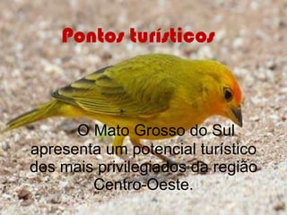 Pontos turísticos             O Mato Grosso do Sul apresenta um potencial turístico dos mais privilegiados da região Centro-Oeste.                         