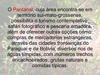 O   Pantanal , cuja área encontra-se em território sul-mato-grossense, possibilita o turismo contemplativo, safári fotográfico e pescaria amadora, além de oferecer outras opções como: compras de mercadorias estrangeiras, através das cidades fronteiriças do Paraguai e da Bolívia, diversos rios de águas límpidas, com inúmeros trechos encachoeirados, grutas naturais e comidas típicas. 