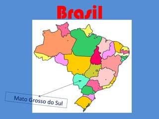 Brasil Mato Grosso do Sul 