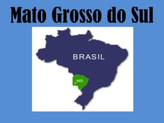 Mato Grosso do Sul 