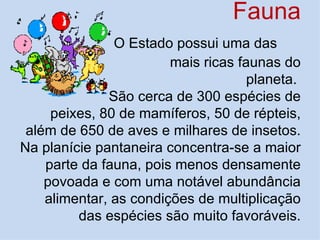 Fauna
               O Estado possui uma das
                        mais ricas faunas do
                                     planeta.
              São cerca de 300 espécies de
     peixes, 80 de mamíferos, 50 de répteis,
 além de 650 de aves e milhares de insetos.
Na planície pantaneira concentra-se a maior
    parte da fauna, pois menos densamente
    povoada e com uma notável abundância
    alimentar, as condições de multiplicação
         das espécies são muito favoráveis.
 