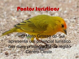 Pontos turísticos



      O Mato Grosso do Sul
apresenta um potencial turístico
dos mais privilegiados da região
        Centro-Oeste.
 