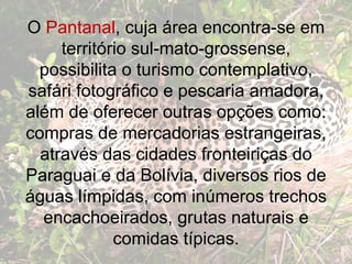O Pantanal, cuja área encontra-se em
     território sul-mato-grossense,
  possibilita o turismo contemplativo,
safári fotográfico e pescaria amadora,
além de oferecer outras opções como:
compras de mercadorias estrangeiras,
  através das cidades fronteiriças do
Paraguai e da Bolívia, diversos rios de
águas límpidas, com inúmeros trechos
  encachoeirados, grutas naturais e
             comidas típicas.
 