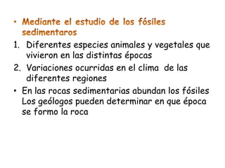 1. Diferentes especies animales y vegetales que
   vivieron en las distintas épocas
2. Variaciones ocurridas en el clima de las
   diferentes regiones
• En las rocas sedimentarias abundan los fósiles
  Los geólogos pueden determinar en que época
  se formo la roca
 
