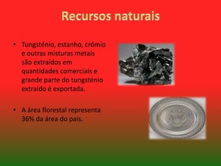 • Tungsténio, estanho, crómio
e outras misturas metais
são extraídos em
quantidades comerciais e
grande parte do tungsténio
extraído é exportada.
• A área florestal representa
36% da área do país.

 