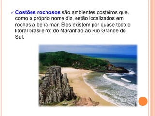  Costões rochosos são ambientes costeiros que,
como o próprio nome diz, estão localizados em
rochas a beira mar. Eles existem por quase todo o
litoral brasileiro: do Maranhão ao Rio Grande do
Sul.
 