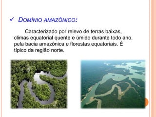  DOMÍNIO AMAZÔNICO:
Caracterizado por relevo de terras baixas,
climas equatorial quente e úmido durante todo ano,
pela bacia amazônica e florestas equatoriais. É
típico da região norte.
 