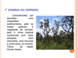  DOMÍNIO DO CERRADO
Caracterizado por
planaltos com
chapadões
sedimentares, pela as
matas galerias e
vegetação de cerrado,
pelo o clima tropical
continental com duas
estações bem
marcadas, uma chuvosa
e outra seca, no inverno.
Típico da região
Centro-Oeste.
 