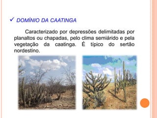  DOMÍNIO DA CAATINGA
Caracterizado por depressões delimitadas por
planaltos ou chapadas, pelo clima semiárido e pela
vegetação da caatinga. É típico do sertão
nordestino.
 
