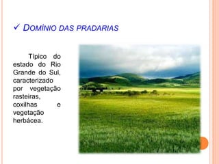  DOMÍNIO DAS PRADARIAS
Típico do
estado do Rio
Grande do Sul,
caracterizado
por vegetação
rasteiras,
coxilhas e
vegetação
herbácea.
 
