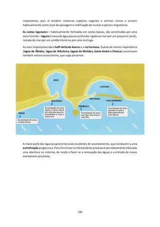importantes, pois aí residem inúmeras espécies vegetais e animais únicas e servem 
habitualmente como local de passagem e nidificação de muitas espécies migratórias. 
As costas lagunares – habitualmente formadas em costas baixas, são constituídas por uma 
zona húmida – laguna (massa de água pouco profunda, ligada ao mar por um pequeno canal), 
isolada do mar por um cordão litoral ou por uma restinga. 
As mais importantes são o haff-delta de Aveiro e a ria Formosa. Outras de menor importância 
(lagoa de Óbidos, lagoa de Albufeira, lagoas de Melides, Santo André e Chanca) constituem 
também valioso ecossistema, que urge preservar. 
A maior parte das lagunas apresenta sinais evidentes de assoreamento, que conduzem a uma 
eutrofização progressiva. Para minimizar os efeitos deste processo é periodicamente efetuada 
uma abertura no sistema, de modo a fazer-se a renovação das águas e a entrada de novos 
exemplares piscícolas. 
126 
 