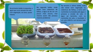 No primeiro balde à esquerda, a
água que corre através do solo
com vegetação, sai clara, quase
intacta.
No segundo balde, onde
existe uma cobertura de
folhas, a água sai de cor um
pouco mais escura, mas
mesmo assim não provoca
maiores problemas.
No terceiro e ultimo balde, onde
não existe nem vegetação ou
cobertura de folhas, a terra com
nutrientes é arrastada pela água e
provoca a erosão do solo. A
água sai barrenta, com os
nutrientes do solo, o resultado é
um solo infértil e um terreno todo
erodido.
 