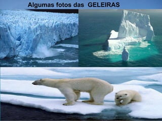 Algumas fotos das GELEIRAS
 