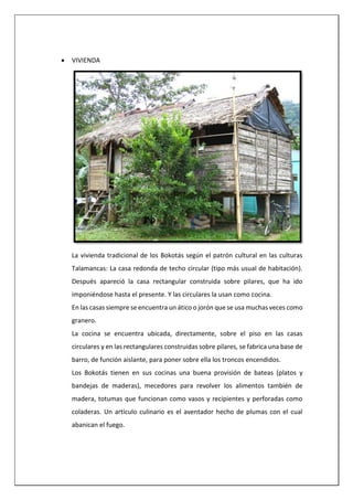  VIVIENDA
La vivienda tradicional de los Bokotás según el patrón cultural en las culturas
Talamancas: La casa redonda de techo circular (tipo más usual de habitación).
Después apareció la casa rectangular construida sobre pilares, que ha ido
imponiéndose hasta el presente. Y las circulares la usan como cocina.
En las casas siempre se encuentra un ático o jorón que se usa muchas veces como
granero.
La cocina se encuentra ubicada, directamente, sobre el piso en las casas
circulares y en las rectangulares construidas sobre pilares, se fabrica una base de
barro, de función aislante, para poner sobre ella los troncos encendidos.
Los Bokotás tienen en sus cocinas una buena provisión de bateas (platos y
bandejas de maderas), mecedores para revolver los alimentos también de
madera, totumas que funcionan como vasos y recipientes y perforadas como
coladeras. Un artículo culinario es el aventador hecho de plumas con el cual
abanican el fuego.
 