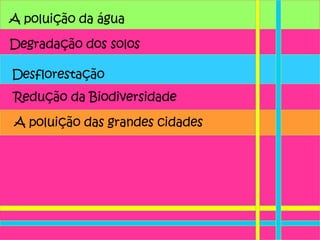 A poluição da água  Degradação dos solos Desflorestação A poluição das grandes cidades Redução da Biodiversidade 