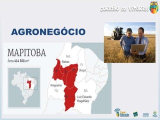 AGRONEGÓCIO
 