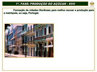 1ª. FASE: PRODUÇÃO DO AÇÚCAR - XVII1ª. FASE: PRODUÇÃO DO AÇÚCAR - XVII
Formação de cidades litorâneas para melhor escoar a produção paraFormação de cidades litorâneas para melhor escoar a produção para
a metrópole, ou seja, Portugal.a metrópole, ou seja, Portugal.
 
