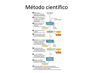 Método científico
 