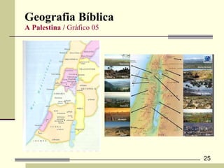 Geografia Bíblica  A Palestina /  Gráfico 05 
