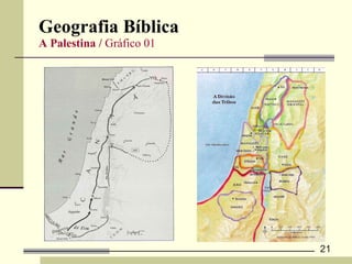 Geografia Bíblica  A Palestina /  Gráfico 01 