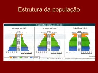 Estrutura da população
 