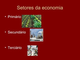 Setores da economia
• Primário



• Secundário



• Terciário
 