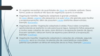  Os vegetais necessitam de quantidades de água ou umidade variáveis. Dessa
forma, pode se classificar três tipos de vegetação quanto à umidade:
 Vegetação hidrófila: Vegetação adaptada à grande umidade.
As raizes desses vegetais são pequenas e as suas folhas são grandes para facilitar
a evapotranspiração, além de possuírem caules bastantes desenvolvidos.
Exemplo: Bananeira.
 Vegetação xerófila: Vegetação adaptada à aridez. Possui raízes compridas,
aprofundando-se bastante no solo para buscar água. Apresenta folhas pequenas
e muitas vezes cobertas de ceras, para diminuir a evaporação (perda de água).
Possuem também, folhas em forma de espinhos para diminuir a evaporação.
Exemplo: Caatinga.
 Vegetação tropófila: Vegetação adaptada à variações de umidade, segundo
a estação, seca ou chuvosa. As plantas são de características caducifólios
(plantas que perdem as folhas em estações secas ou frias). Exemplo: Cerrados
 