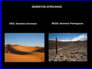 DESERTOS AFRICANOS ERG:  Desertos Arenosos REGS:  Desertos Pedregosos 