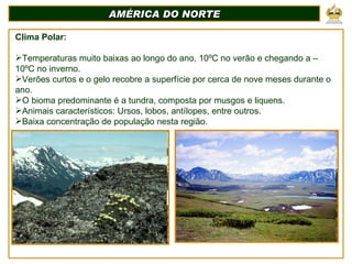 AMÉRICA DO NORTE Clima Polar:  Temperaturas muito baixas ao longo do ano, 10ºC no verão e chegando a – 10ºC no inverno.  Verões curtos e o gelo recobre a superfície por cerca de nove meses durante o ano. O bioma predominante é a tundra, composta por musgos e liquens. Animais característicos: Ursos, lobos, antílopes, entre outros. Baixa concentração de população nesta região. 