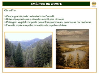 AMÉRICA DO NORTE Clima Frio: Ocupa grande parte do território do Canadá. Baixas temperaturas e elevadas amplitudes térmicas. Paisagem vegetal composta pelas florestas boreais, compostas por coníferas. Floresta explorada pelas indústrias de papel e celulose. 