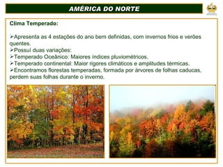 AMÉRICA DO NORTE Clima Temperado: Apresenta as 4 estações do ano bem definidas, com invernos frios e verões quentes. Possuí duas variações: Temperado Oceânico: Maiores índices pluviométricos. Temperado continental: Maior rigores climáticos e amplitudes térmicas. Encontramos florestas temperadas, formada por árvores de folhas caducas, perdem suas folhas durante o inverno. 