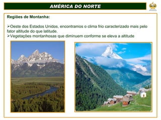 AMÉRICA DO NORTE Regiões de Montanha: Oeste dos Estados Unidos, encontramos o clima frio caracterizado mais pelo fator altitude do que latitude. Vegetações montanhosas que diminuem conforme se eleva a altitude 