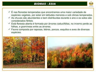 BIOMAS - ÁSIA É nas florestas temperadas que encontramos uma maior variedade de espécies vegetais, por estar em latitudes menores e sob climas temperados. As chuvas são abundantes e bem distribuídas durante o ano e os solos são considerados férteis. Está floresta aberta é formada por árvores caducifólias, no inverno perde as folhas, e gramíneas entre as árvores. Fauna composta por raposas, lebres, porcos, esquilos e aves de diversas espécies. 