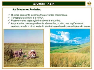 BIOMAS - ÁSIA As Estepes ou Pradarias,  O clima apresenta invernos frios e verões moderados. Temperaturas entre -5 e 18 Cº. Possuem uma vegetação herbácea e arbustiva. As pradarias russas geralmente são verdes, porém, nas regiões mais centrais, aonde o clima varia do semi árido e deserto, as estepes são secas. 