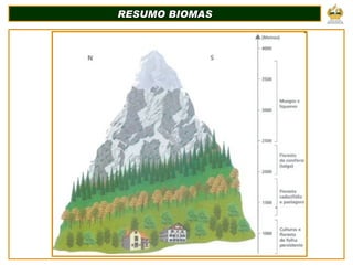 RESUMO BIOMAS 