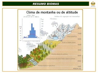 RESUMO BIOMAS 