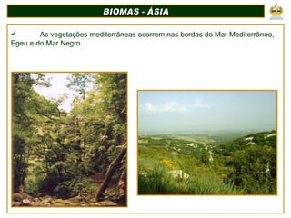 BIOMAS - ÁSIA As vegetações mediterrâneas ocorrem nas bordas do Mar Mediterrâneo, Egeu e do Mar Negro. 