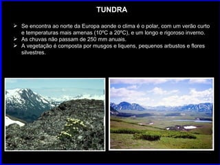 TUNDRA Se encontra ao norte da Europa aonde o clima é o polar, com um verão curto e temperaturas mais amenas (10ºC a 20ºC), e um longo e rigoroso inverno. As chuvas não passam de 250 mm anuais. A vegetação é composta por musgos e liquens, pequenos arbustos e flores silvestres. 