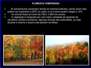 FLORESTA TEMPERADA As temperaturas aumentam devido as menores latitudes, sendo assim elas podem ser superiores a 20ºC no verão, e no inverno podem chegar a -5ºC As chuvas ficam em torno de 750 e 1.500 mm anuais. A vegetação é composta por uma maior variedade de espécies de carvalhos, bordos e pinheiros, algumas árvores são caducifólias, ou seja, durante o inverno e outono elas perdem as folhas. 