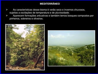 MEDITERRÂNEO As características desse bioma é verão seco e invernos chuvosos, sujeitas a oscilações de temperatura e de pluviosidade. Aparecem formações arbustivas e também temos bosques compostos por pinheiros, sobreiros e oliveiras. 