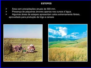 ESTEPES Área com precipitações anuais de 500 mm. Presença de pequenas árvores apenas nos cursos d´água. Algumas áreas de estepes apresentam solos extremamente férteis, aproveitado para produção de trigo e cereais 