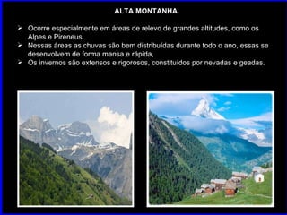 ALTA MONTANHA Ocorre especialmente em áreas de relevo de grandes altitudes, como os Alpes e Pireneus.  Nessas áreas as chuvas são bem distribuídas durante todo o ano, essas se desenvolvem de forma mansa e rápida,  Os invernos são extensos e rigorosos, constituídos por nevadas e geadas.  