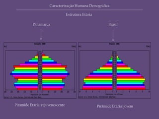 Dinamarca Brasil
Pirâmide Etária: rejuvenescente Pirâmide Etária: jovem
Caracterização Humana Demográfica
Estrutura Etária
 