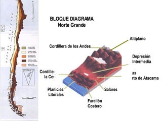 Cordillera de la Costa Pampas Desierto de Atacama BLOQUE DIAGRAMA Norte Grande Depresión  Intermedia Cordillera de los Andes Farellón  Costero Planicies  Litorales Salares Altiplano 