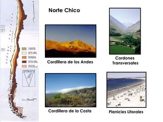 Norte Chico Cordillera de los Andes Cordillera de la Costa Planicies Litorales Cordones  Transversales 