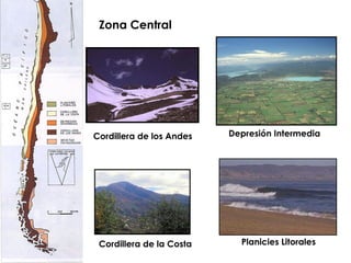 Zona Central Depresión Intermedia Cordillera de la Costa Planicies Litorales Cordillera de los Andes 