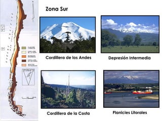 Zona Sur Cordillera de los Andes Depresión Intermedia Cordillera de la Costa Planicies Litorales 