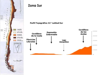 Zona Sur 